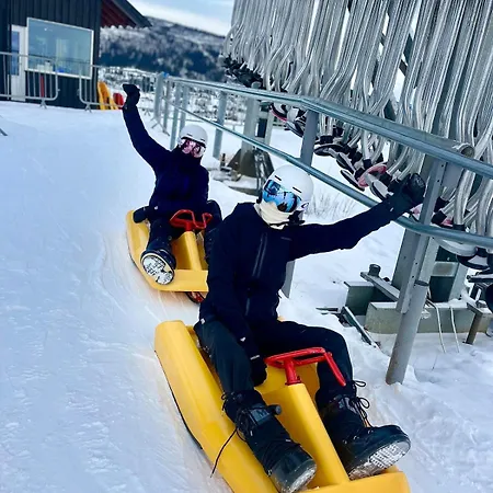 Vaset Brujordet